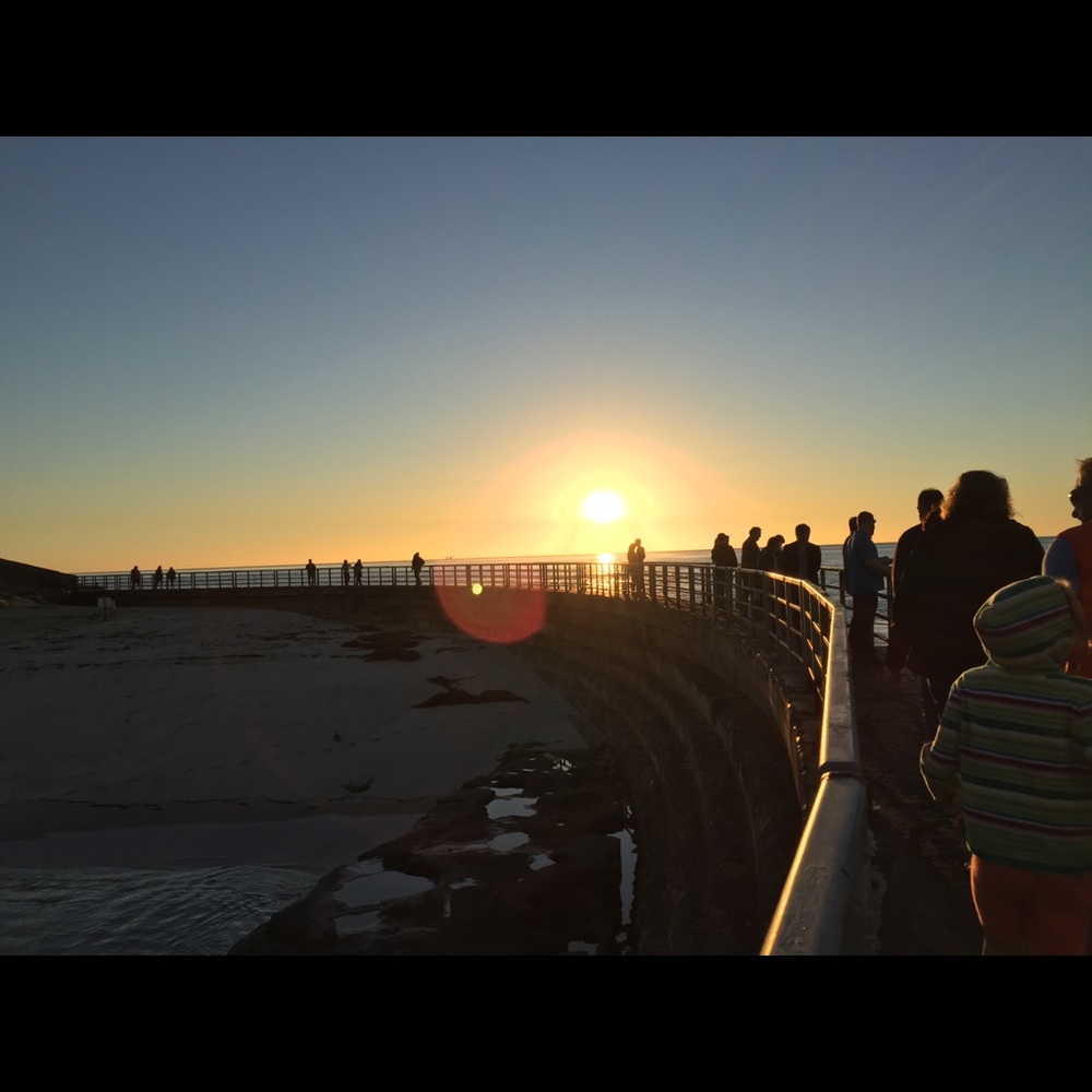 Meet your Posher, Flavie